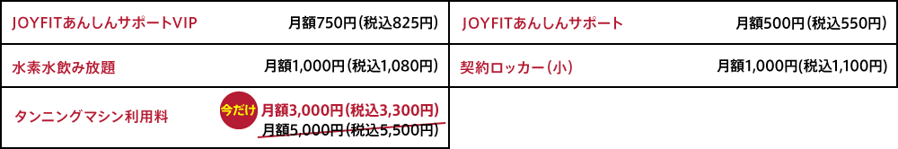 オプション料金