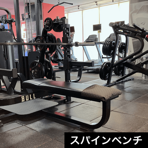 スパインベンチ
